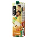 Cappy Multivitamin 50% 1l